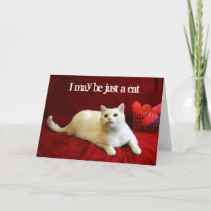 Cartão De Festividades Namorados do gato