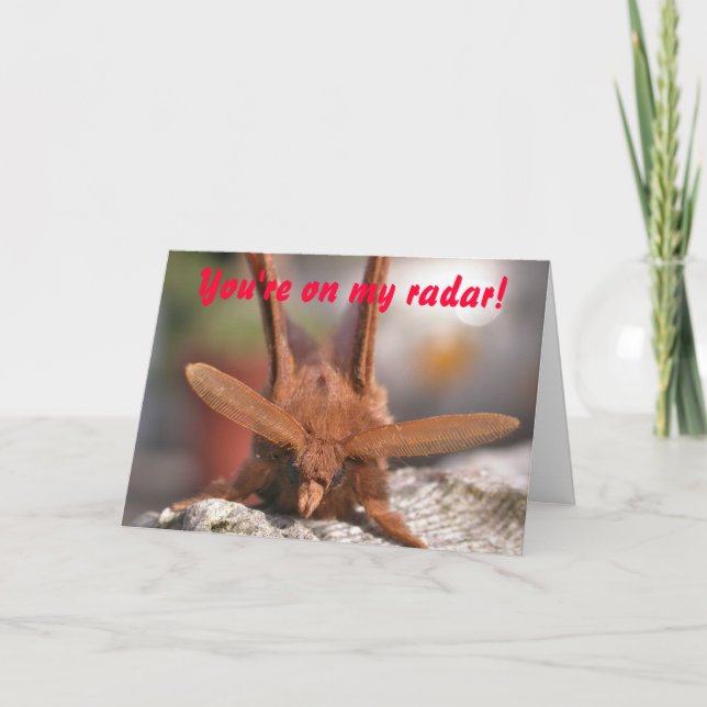 Cartão De Festividades Namorados Moth Antennae: Você está no meu radar! (Frente)