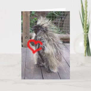 Cartão De Festividades Namorados Porcupine