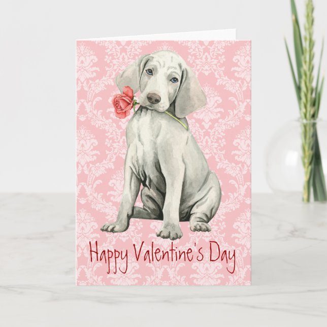 Cartão De Festividades Namorados Rosa Weimaraner (Frente)