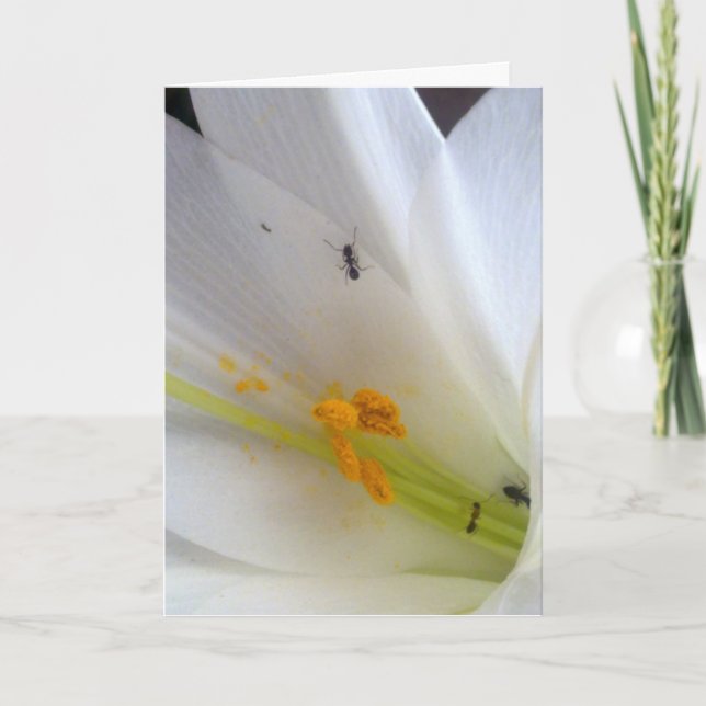 Cartão De Festividades Não deixe que as coisinhas te cheguem... (Frente)