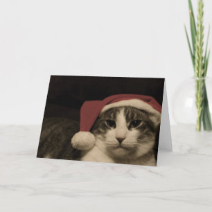 Cartão De Festividades Não seja um grinch