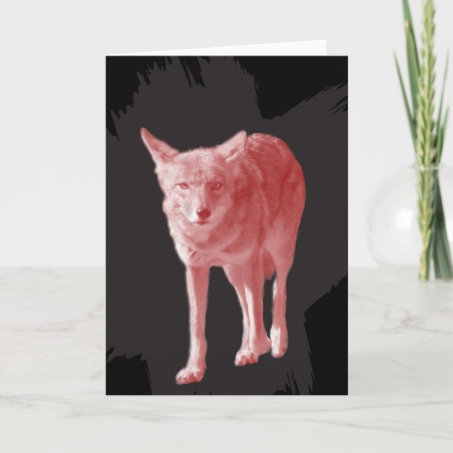 Cartão De Festividades Não Um Lobo. Lone Coyote (Frente)