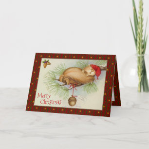 Cartão De Festividades natais vintages, esquilo, pinheiro e bolota