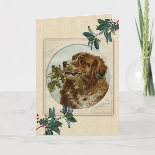 Cartão De Festividades Natais vintages Irish Setter Dog (Frente)