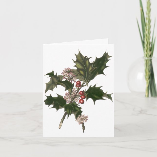 Cartão De Festividades Natais vintages Obrigado (Frente)