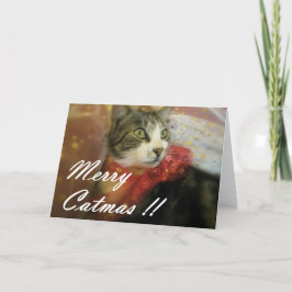 Cartão De Festividades Natal