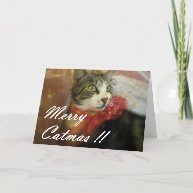 Cartão De Festividades Natal (Frente)