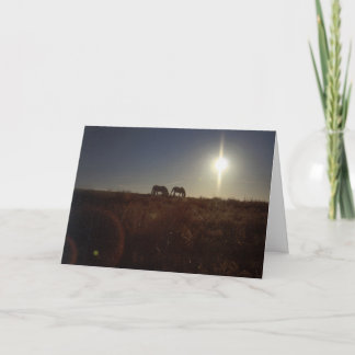 Cartão De Festividades Natal 2008 de OMRH