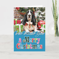 Natal - Basset Hound - Jasmine