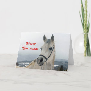 Cartão De Festividades Natal bonito para Cavalo Branco