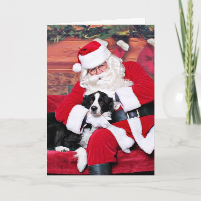 Cartão De Festividades Natal - Border Collie - Sacudir (Frente)