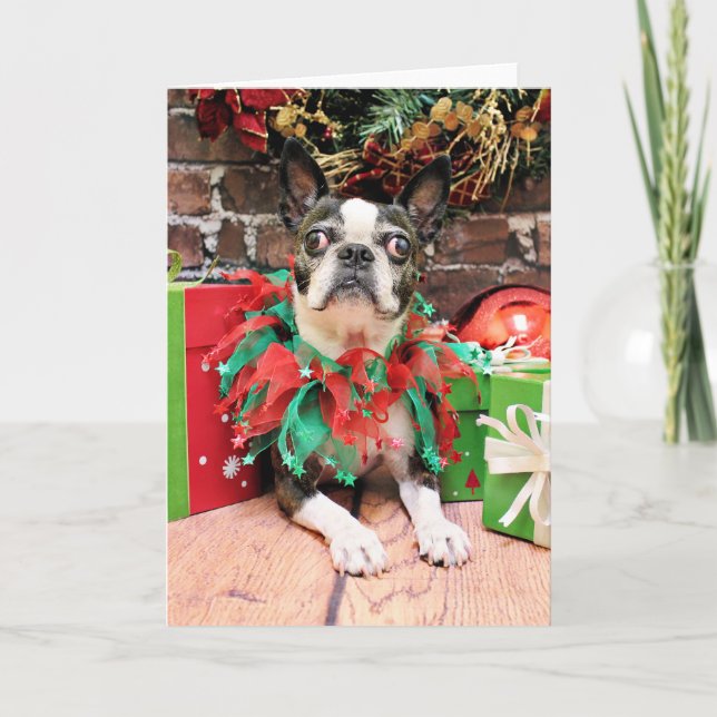 Cartão De Festividades Natal - Boston Terrier - Natalidade (Frente)