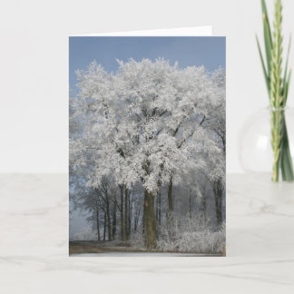 Cartão De Festividades Natal branco