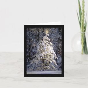 Cartão De Festividades Natal branco