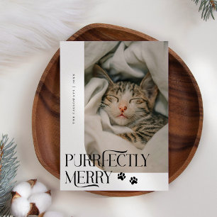 Cartão De Festividades Natal branco de fotografia de gato perfeitamente F