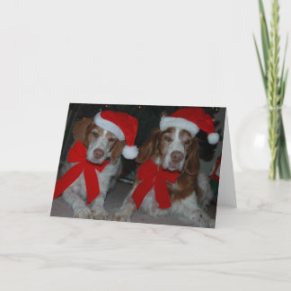 CARTÃO DE FESTIVIDADES NATAL BRITTANYS