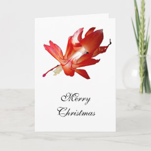 Cartão De Festividades Natal Cactus Feliz Natal