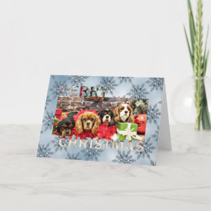 Cartão De Festividades Natal - Cavaleiro - Ervilha doce, Lily, Rosa