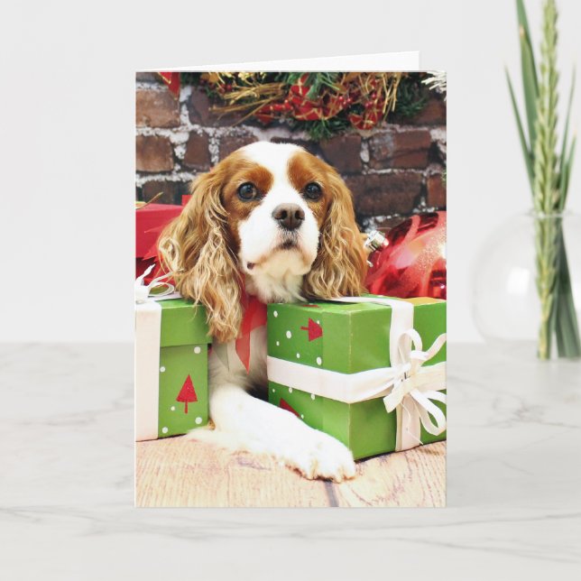 Cartão De Festividades Natal - Cavalier King Charles Spaniel - Poppy (Frente)