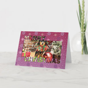 Cartão De Festividades Natal - Chiweenie - Titus
