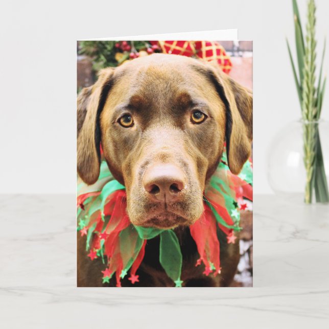 Cartão De Festividades Natal - Chocolate Labrador - Hershey (Frente)