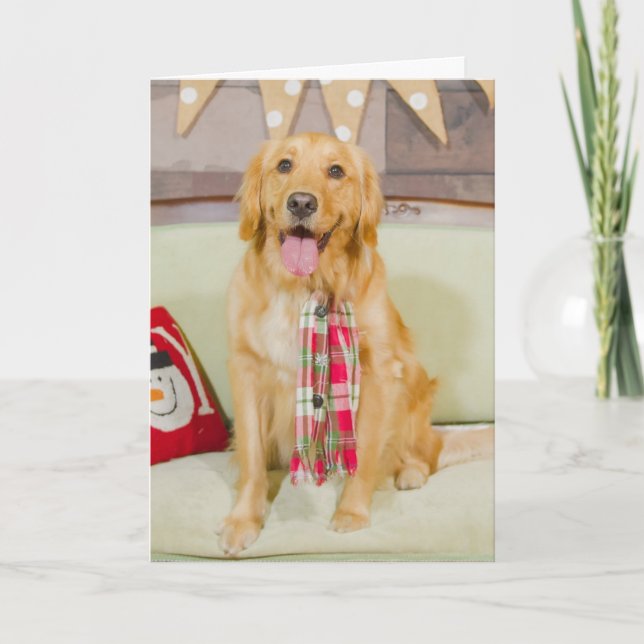 Cartão De Festividades Natal com Lily Chanel (Frente)