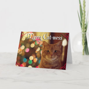 Cartão De Festividades Natal com nossa Feliz de animais de estimação.