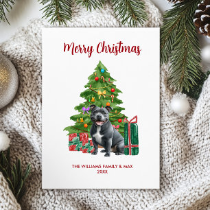 Cartão De Festividades Natal da família de cães de Pitbull
