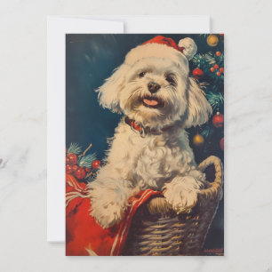 Cartão De Festividades Natal de cão maltês