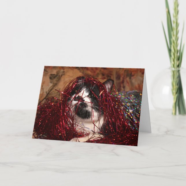 Cartão De Festividades Natal de gatinho de smoking travesso (Frente)