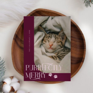 Cartão De Festividades Natal de Gato Foto de Amorango Puramente Feliz