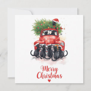 Cartão De Festividades Natal de Gato Negro para Amantes de Gato