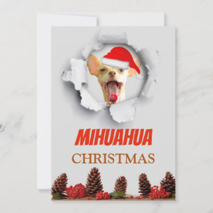 Cartão De Festividades Natal de Mihuahua, chihuahua com chapéu do papai