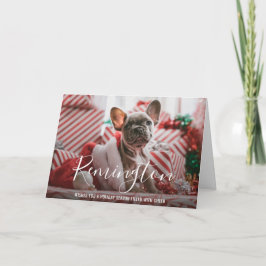Cartão De Festividades Natal de um Cão de Fotos Simples Elegante
