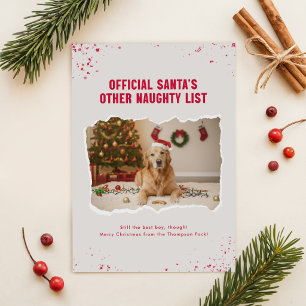 Cartão De Festividades Natal Divertido com Foto de Cachorro Engraçado