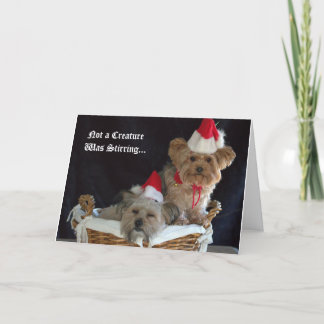 Cartão De Festividades Natal do Cachorrinho
