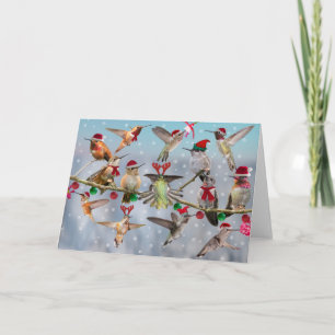 Cartão De Festividades Natal do colibri