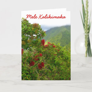 Cartão De Festividades Natal do Havaí