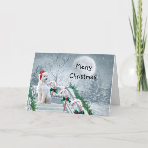 Cartão De Festividades Natal do Poodle Branco