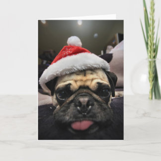Cartão De Festividades Natal do Pug