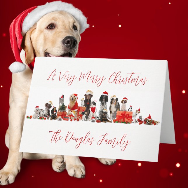 Cartão De Festividades Natal dos Amantes de Cães com Nome da Família (Dog Lovers Christmas with Family Name Holiday Card)