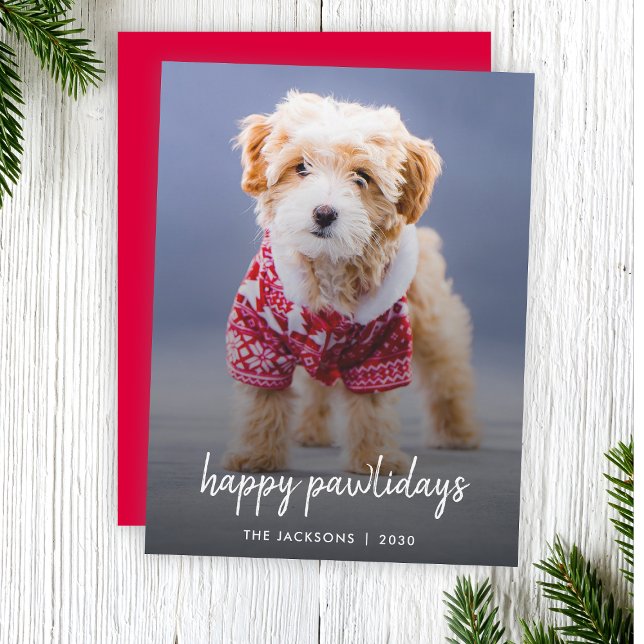 Cartão De Festividades Natal dos cães | Feliz Feliz Pawlidays Moderno de  (Celebrate your furry friend with a modern "Happy Pawlidays" photo Christmas card by Guava)