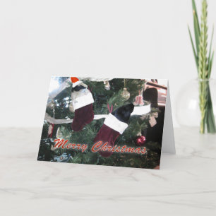 Cartão De Festividades Natal dos Porcos da Guiné