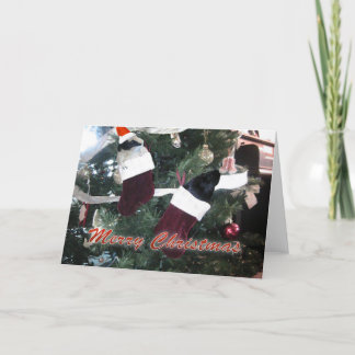 Cartão De Festividades Natal dos Porcos-guineenses