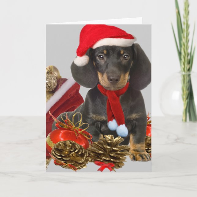 Cartão De Festividades Natal e ornamentos de Dachshund (Frente)