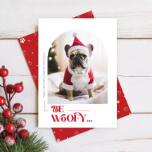 Natal Engraçado Cachorro Pet Arco Foto Natal