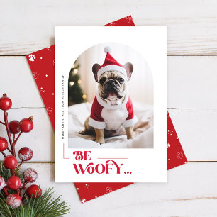 Cartão De Festividades Natal Engraçado Cachorro Pet Arco Foto Natal