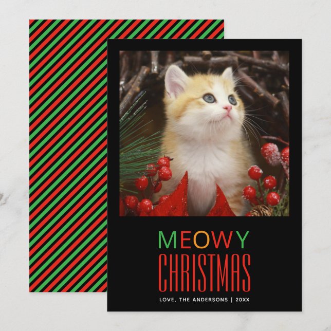 Cartão De Festividades Natal Felino Meow Amantes de Animais Fofos Fotos d (Frente/Verso)