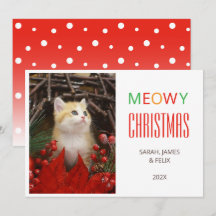 Natal Felino Meow Fofura Foto de Gato Amantes de A